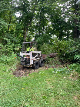 Treas Groundworks - Grading and Clearing Backyard