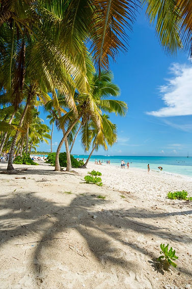 Punta Cana-29.jpeg