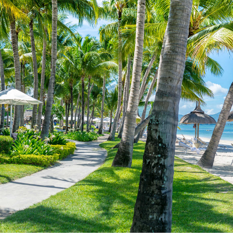 Sugar-Beach_palms and beach.png