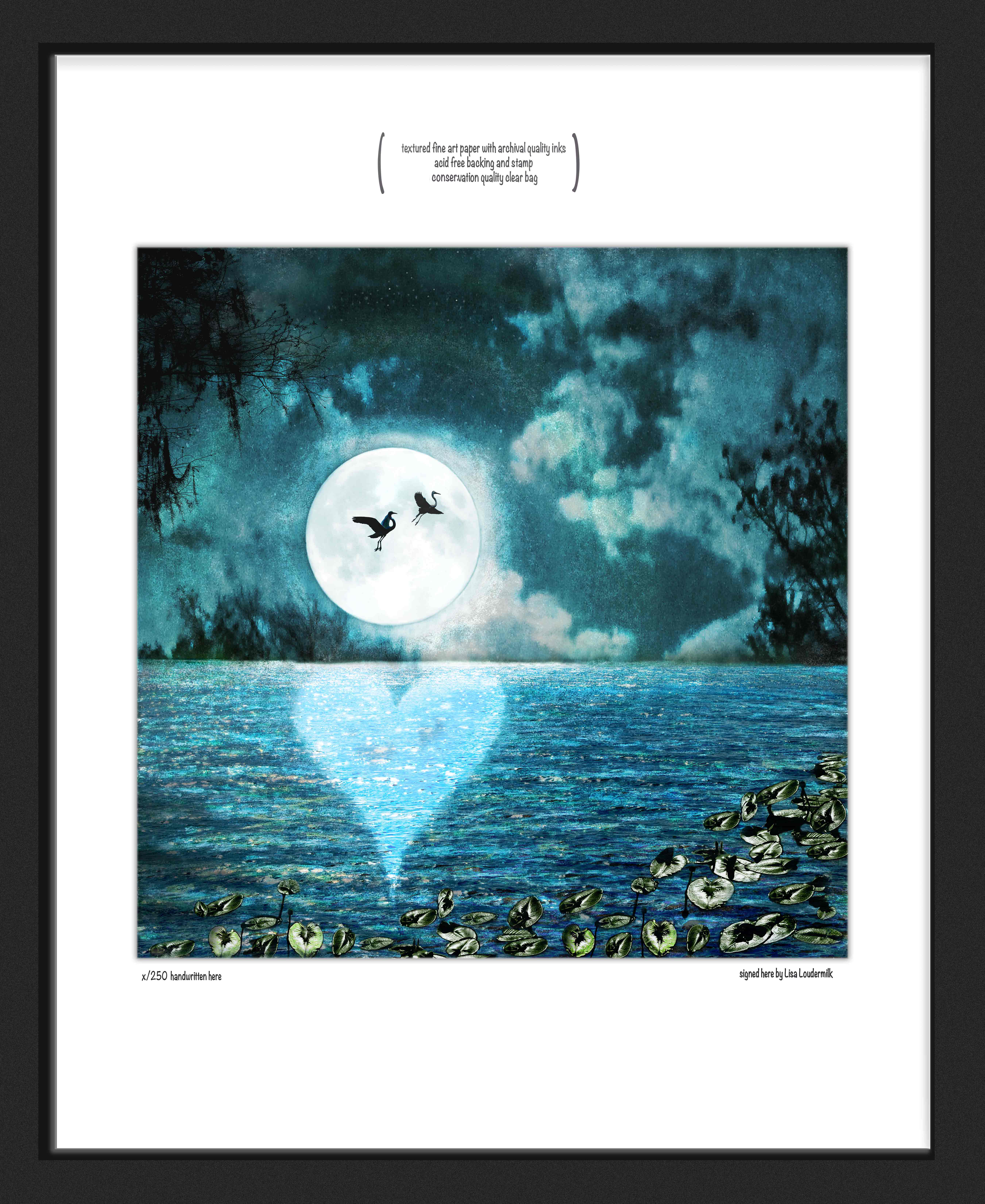 standard frame look - special format