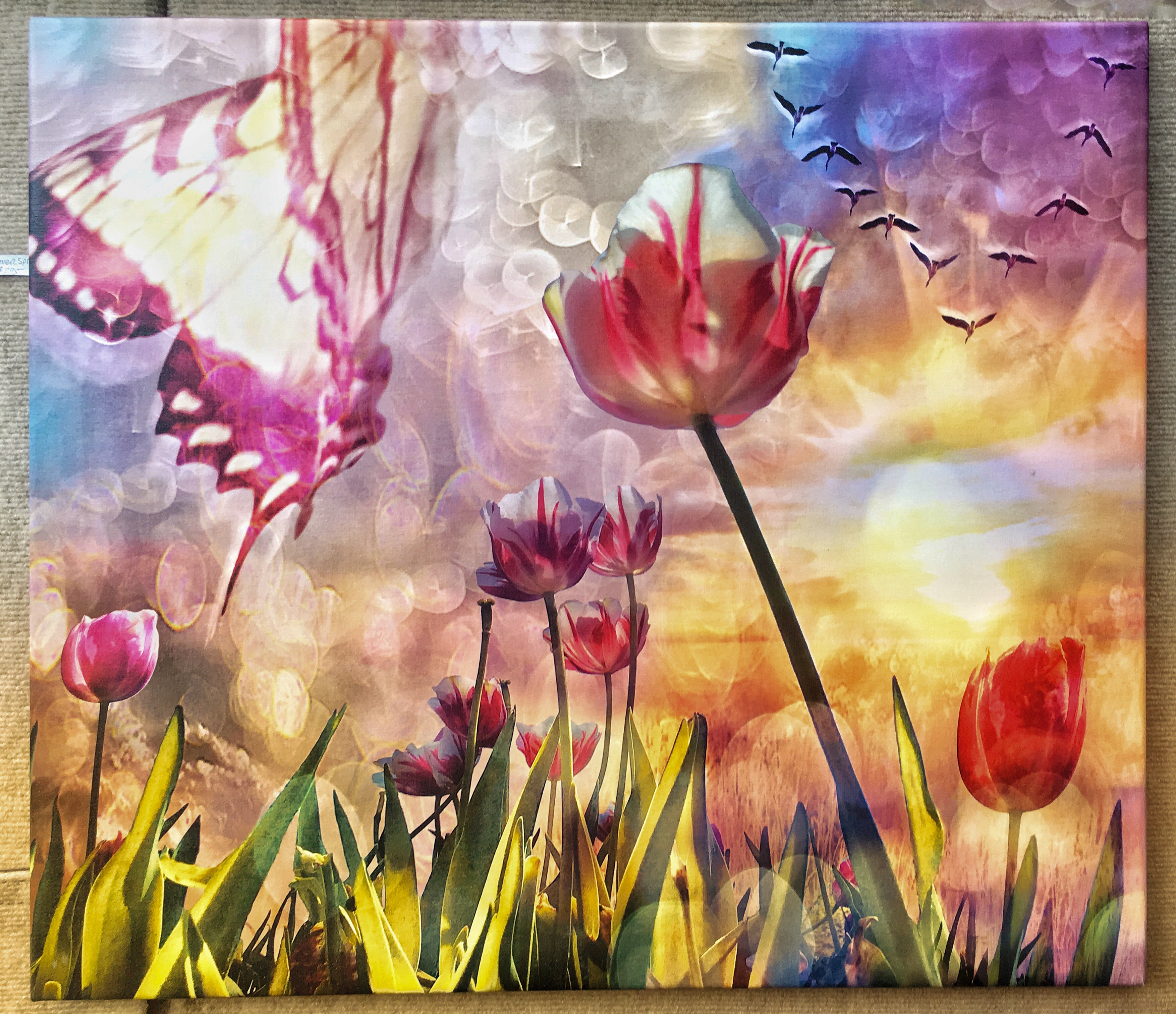 Forever Spring
