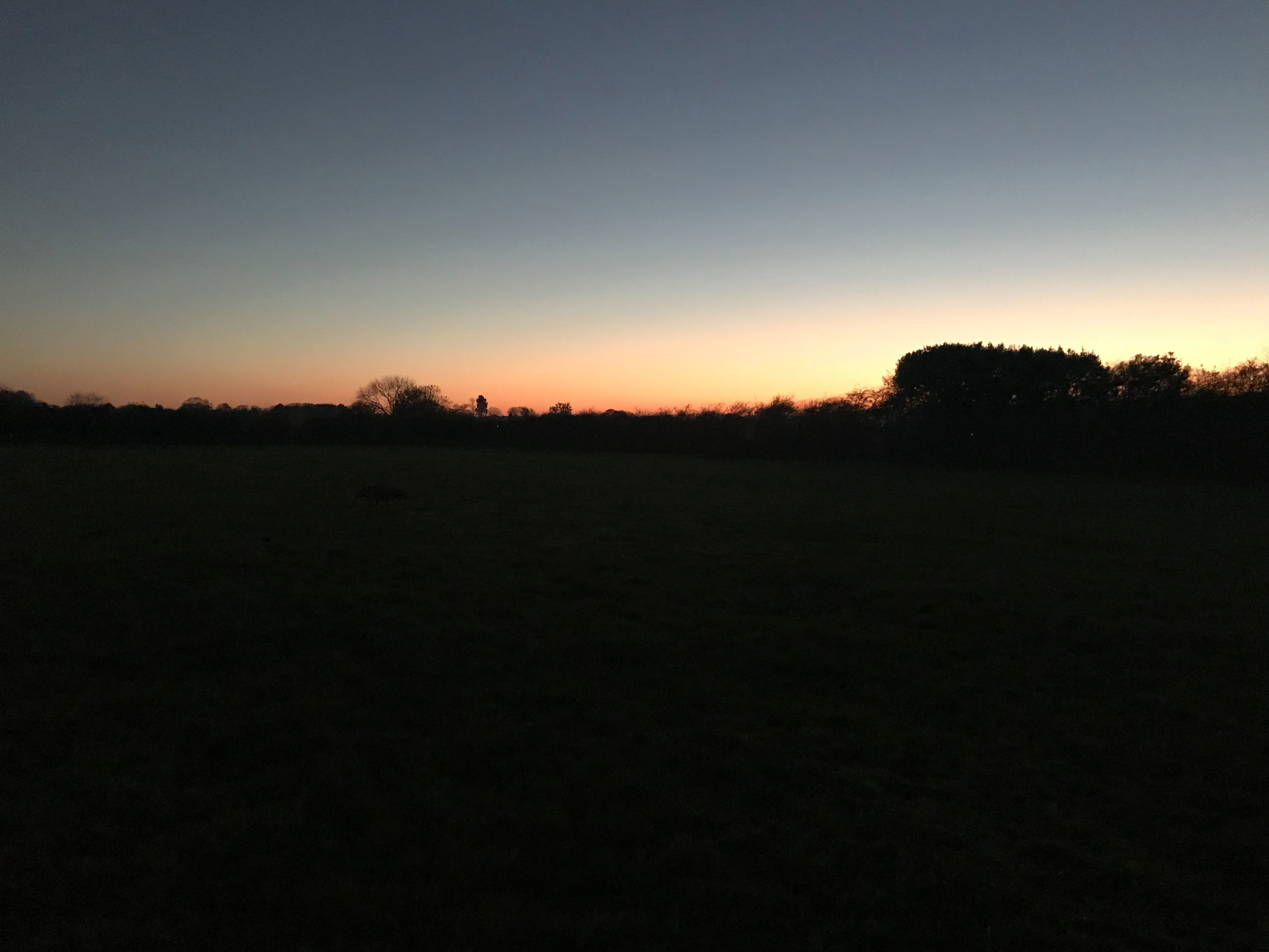 Writer: ryecroftmeadow