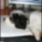 Another DCDogFinders happy customer