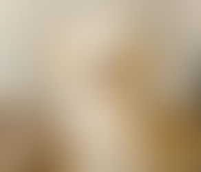 No Crates, Please. A Playpen Is a Much Better Choice