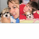 Another DCDogFinders happy customer