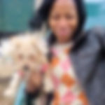 Another DCDogFinders happy customer