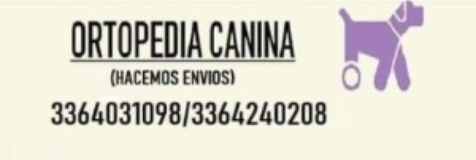 Miniatura: ORTOPEDIS CANINA
