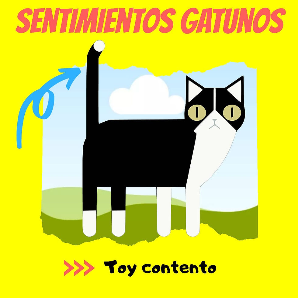 Miniatura: GATITE TOYS
