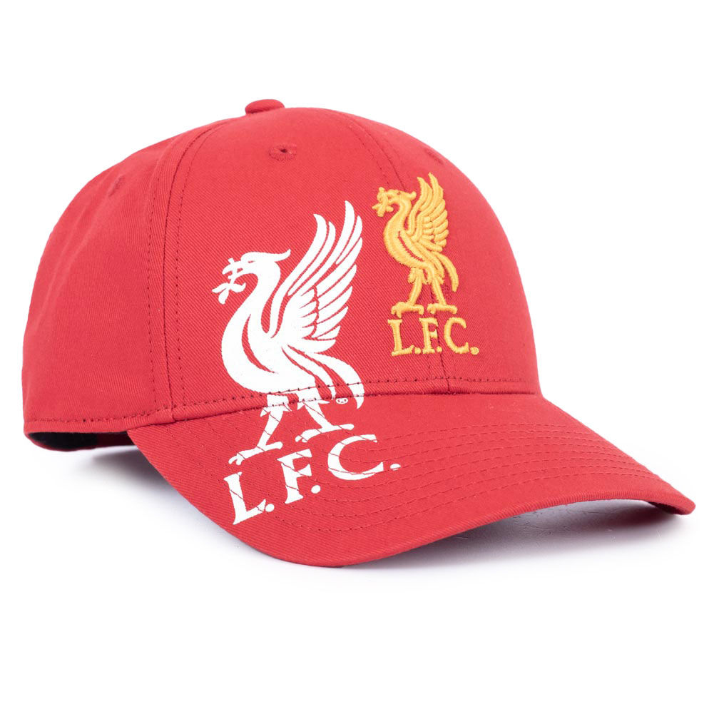 Liverpool Obsidian Cap Red

Embroidered Team Crest
Large Printed Liverbird