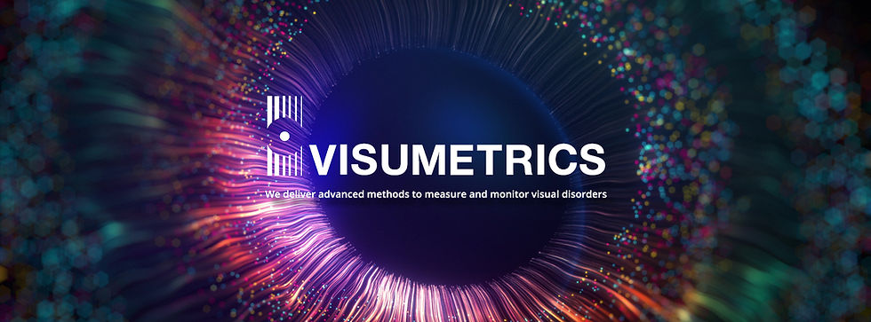 visumetrics_header_web.jpg