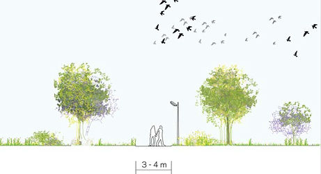 Image_chemin_piéton.JPG