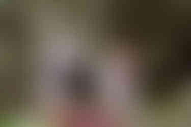 Couple and family members participating together in a spiritual wedding ritual in Riviera Maya