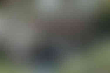 Couple walking through jungle pathway during spiritual wedding ceremony in Tulum Riviera Maya