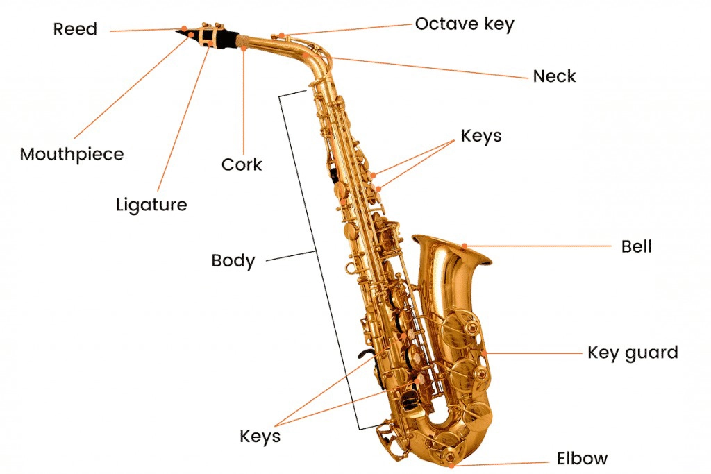 Kèn Saxophone