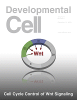 Dev-Cell-2009-Blitz.gif