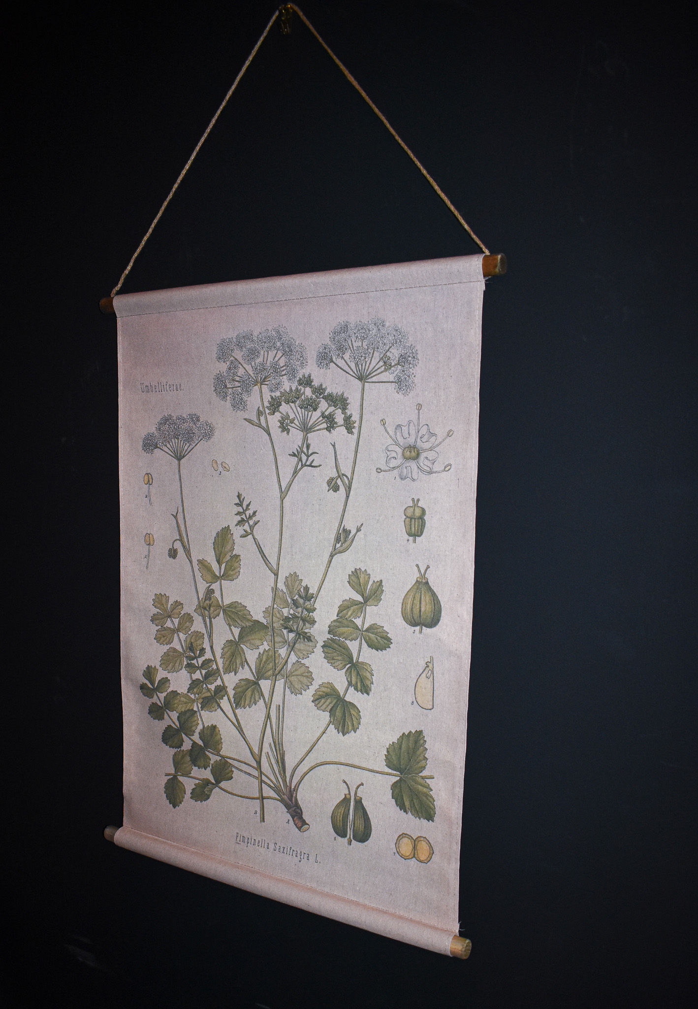 Floral Banner