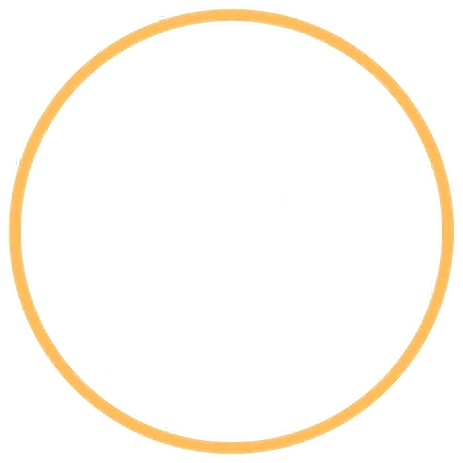 5525252_check_orange_edited_edited.png