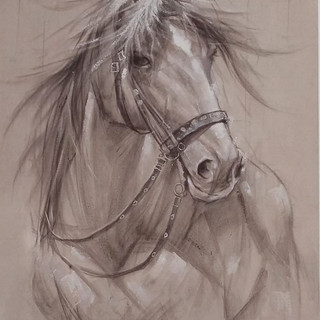 92259548_2661359027438930_62027787551322