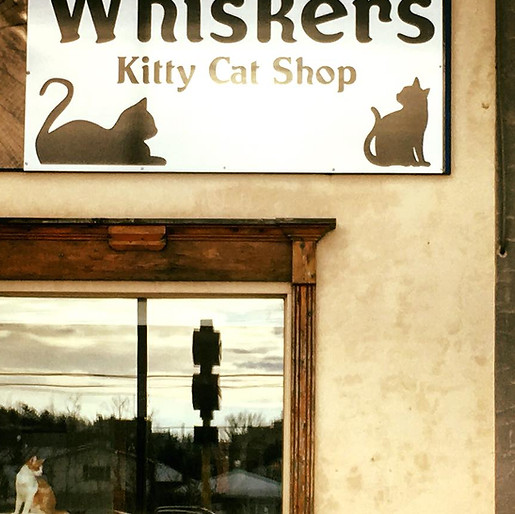 Whiskers Kitty Kat Shop