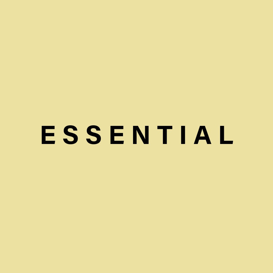 essential accessory logo.jpeg