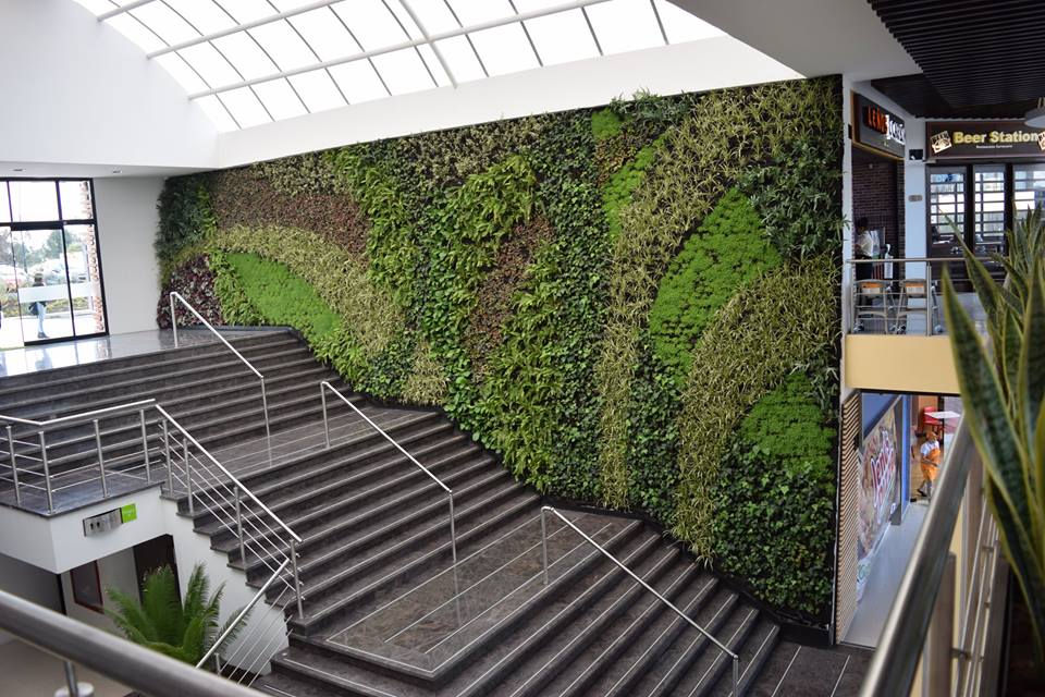 Verde y verde