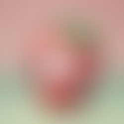 【いちごプレゼント】甘美な心遣いで特別な想いを贈ろう！