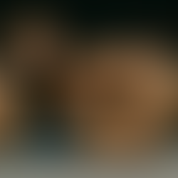 RIZIN男祭り：東京ドームの熱狂と見過ごされた「質」への警鐘