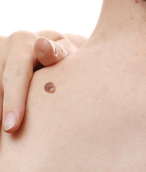 istockphoto-1406728765-612x612.jpg