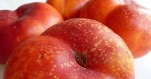 NECTARINA ROJA EXTRA