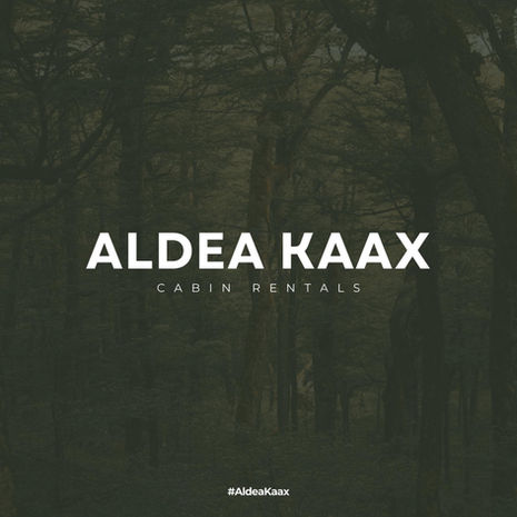 363383301_119358651226937_4933267371635533693_n