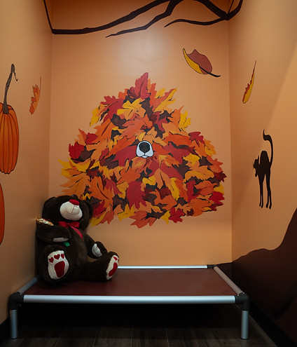 AR505551.jpg