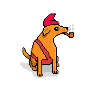 Sasi.png