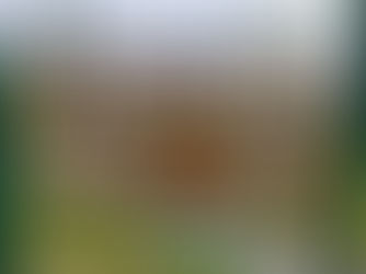 Il Moscato di Scanzo La Berlèndesa - Le prime bottiglie nate da un sogno, grazie a Renato.