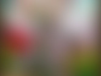 Rinasce il paese medioevale, Ardesio Divino 2021