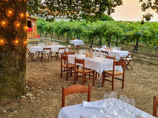 Cena in vigna | Azienda Agricola Calatroni