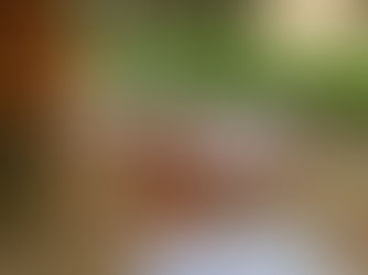 Cena in vigna | Azienda Agricola Calatroni