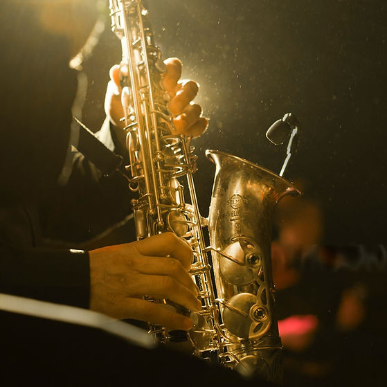 wmremove-transformed (1).jpeg