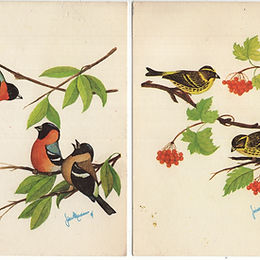 .Guida: 0313 C. in serie private