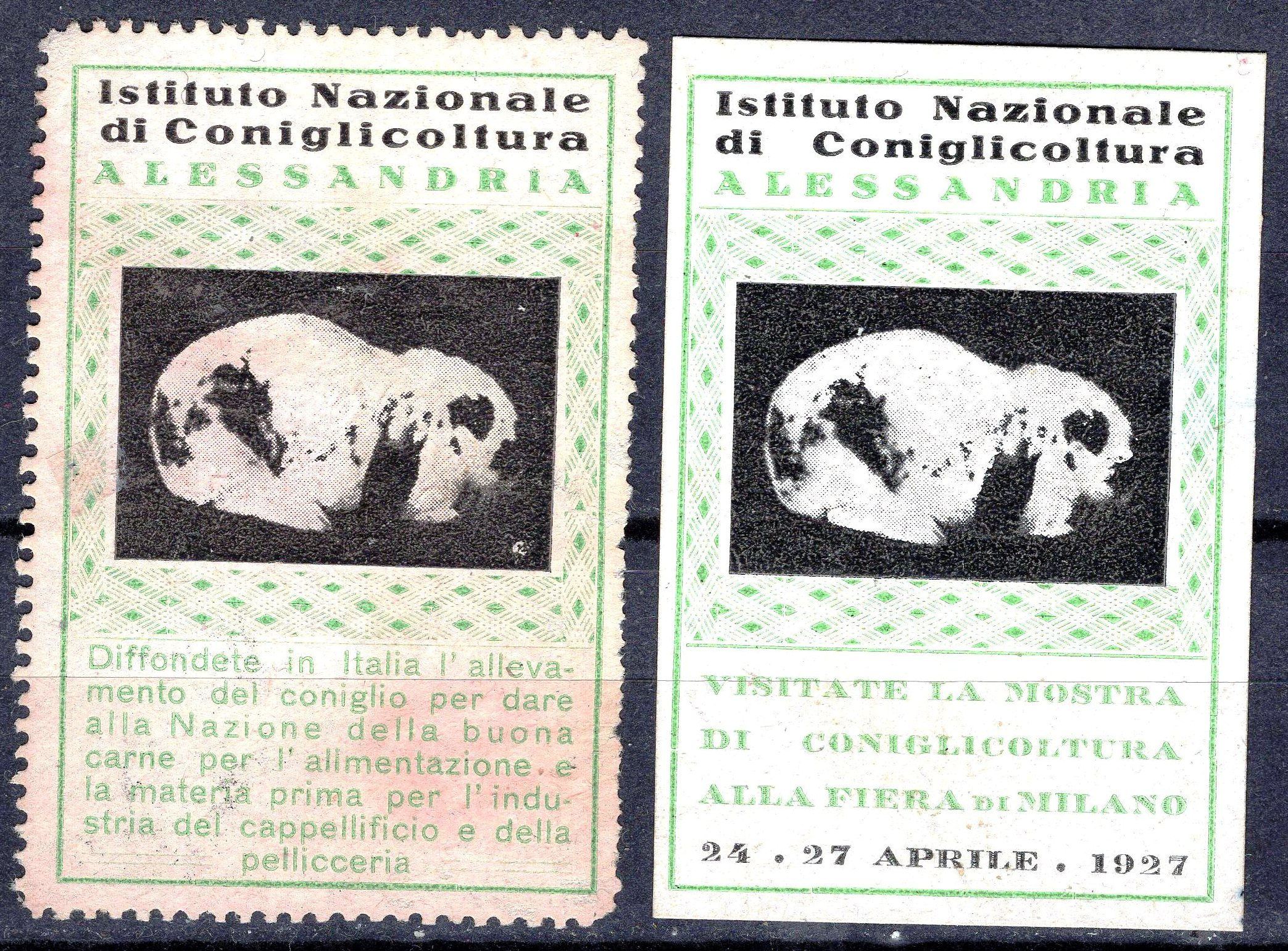 1927A182ISNC Istituto Nazionale di Conigicultura. Mostra