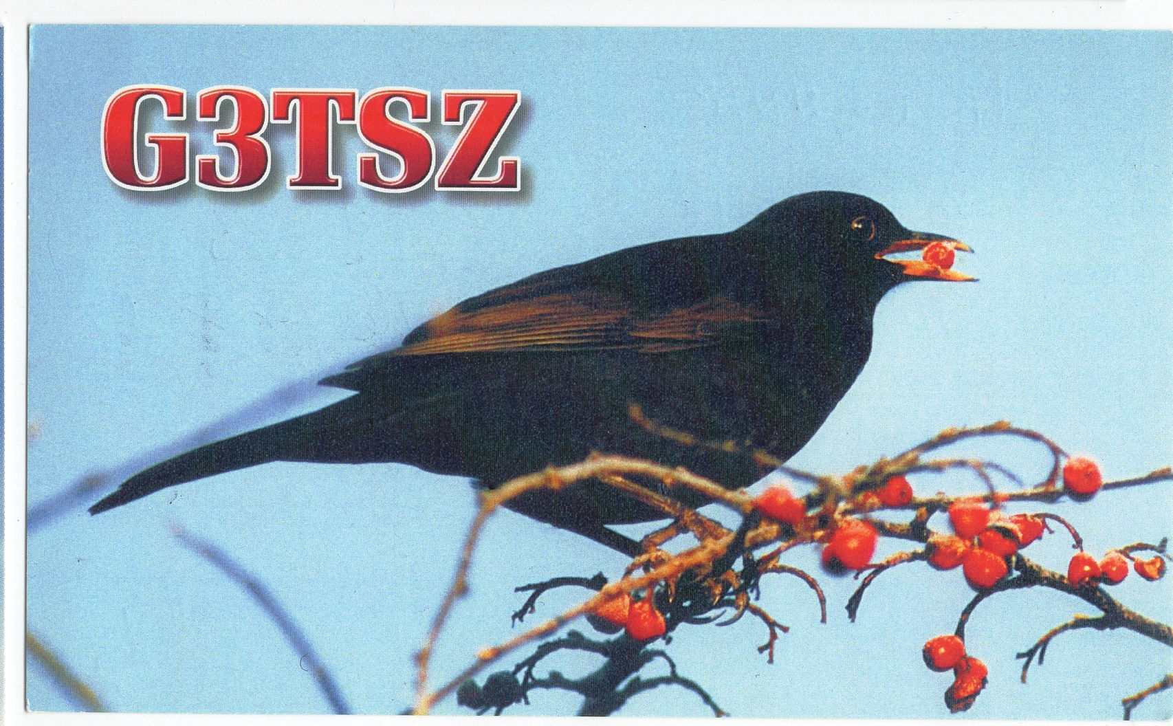 G3TSZ Cart. Radioamatori: G3TSZ England