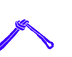 no_aselha.gif