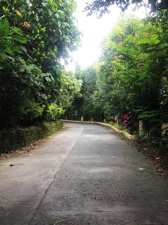 Path