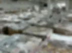 OT_Pallets.webp