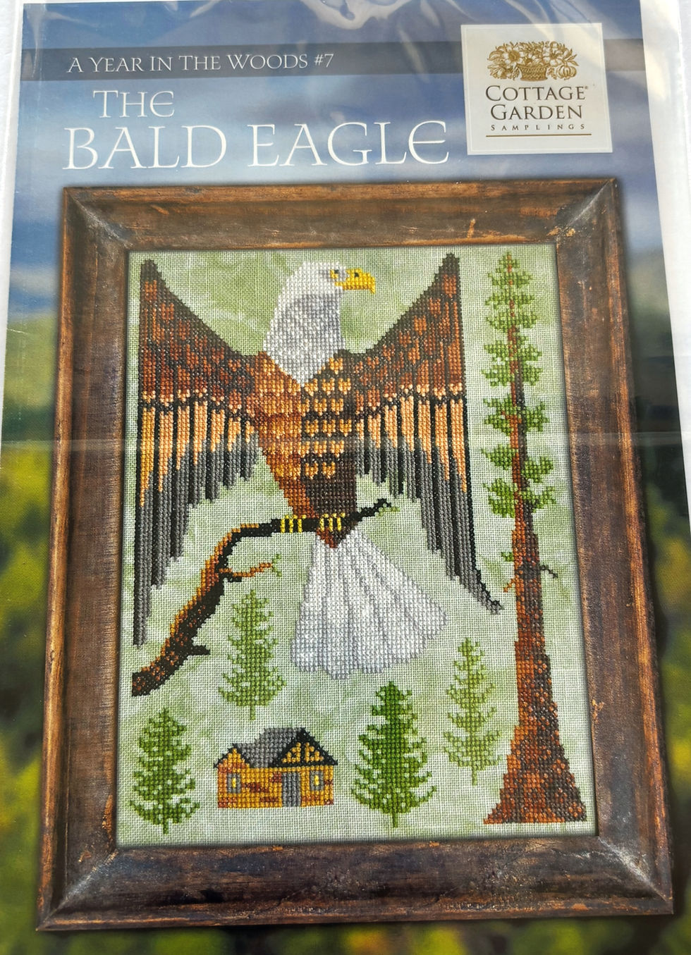 Cross-stitch of a Bald Eagle with text; DMC Floss 504. Bloomfield Craft.