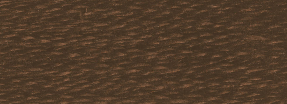 DMC 3031 Very Dark Mocha Brown color swatch