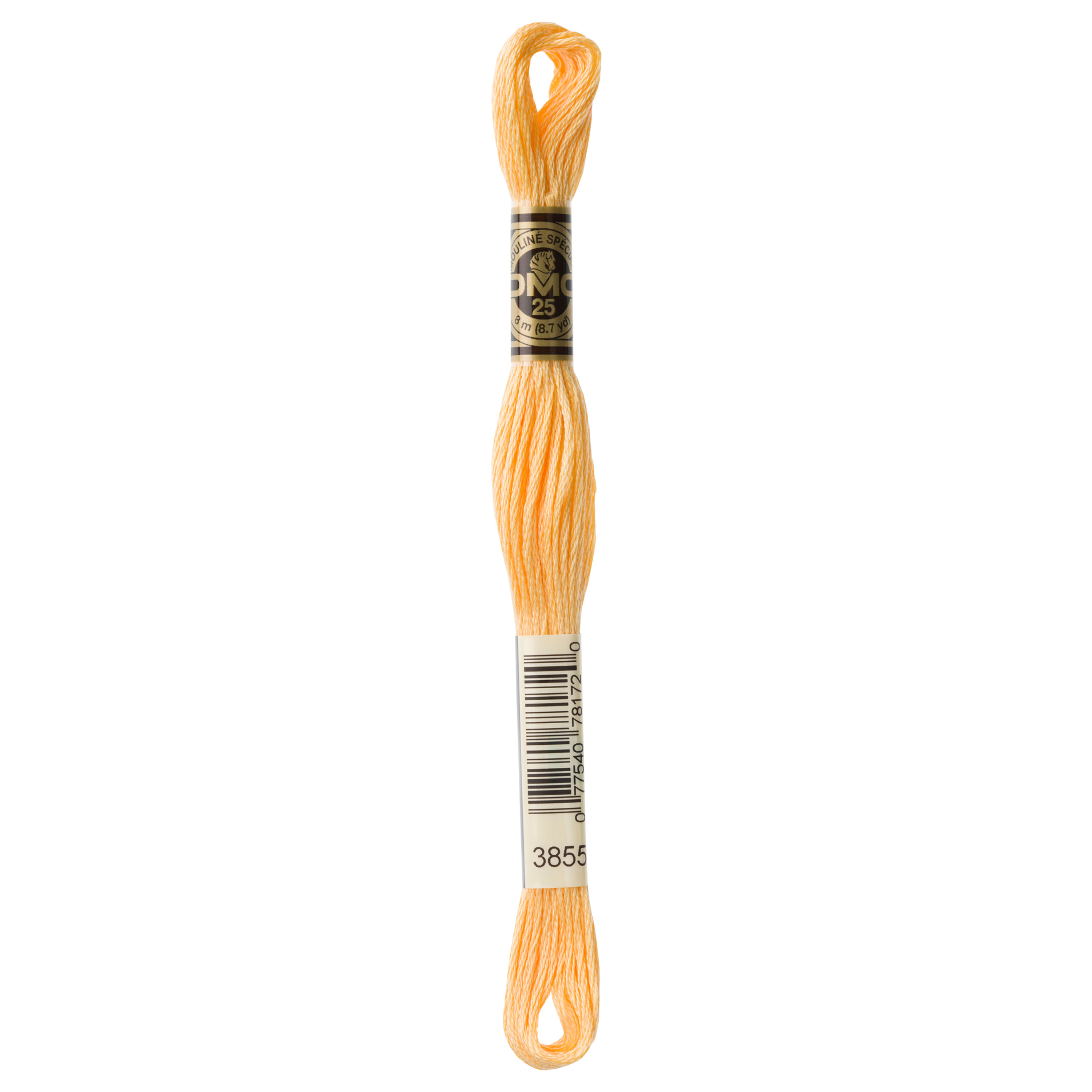 DMC 3855 Light Autumn Gold embroidery floss skein