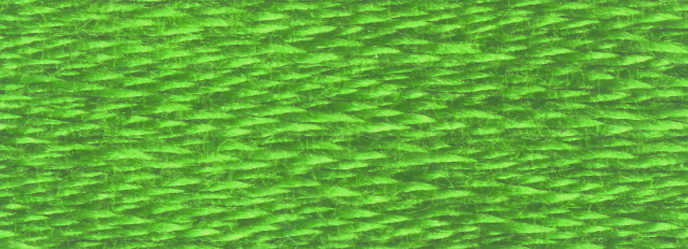 DMC 906 Medium Parrot Green color swatch