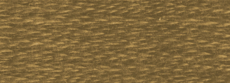 DMC 610 Dark Drab Brown color swatch
