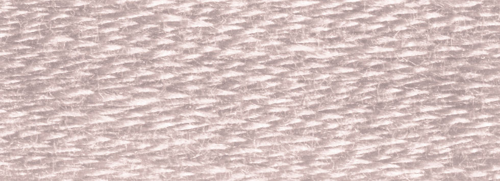 Thumbnail: DMC 452 Medium Shell Gray color swatch