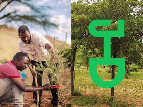 How NGO JustDiggit regreening Africa and it works.